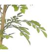 【直送】 【人工観葉植物】光の楽園/光触媒 ライトトネリコ1.3/2430R250 ※返品・代引・キャンセル不可
