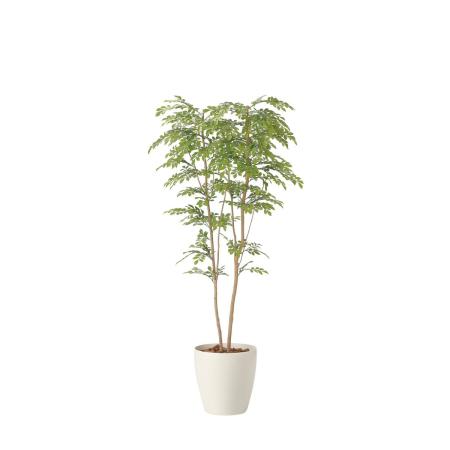 【直送】 【人工観葉植物】光の楽園/光触媒 ライトトネリコ1.8/2413P470 ※返品・代引・キャンセル不可