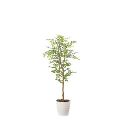 【直送】 【人工観葉植物】光の楽園/光触媒 ゴールデンリーフ1.25/2013R210 ※返品・代引・キャンセル不可