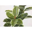 【直送】 【人工観葉植物】光の楽園/光触媒 アルテシマDX1.6/2212R400 ※返品・代引・キャンセル不可