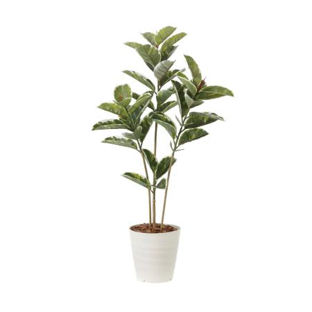 【直送】 【人工観葉植物】光の楽園/光触媒 アルテシマ1.2/2221R210 ※返品・代引・キャンセル不可
