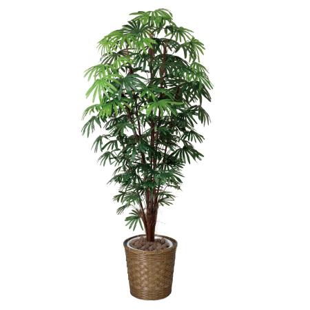 【直送】 【人工観葉植物】光の楽園/光触媒 シュロチク1.8/501R680 ※返品・代引・キャンセル不可