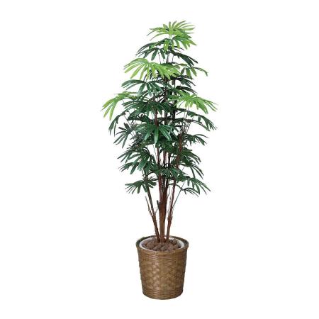 【直送】 【人工観葉植物】光の楽園/光触媒 シュロチク 1.6/500R420 ※返品・代引・キャンセル不可