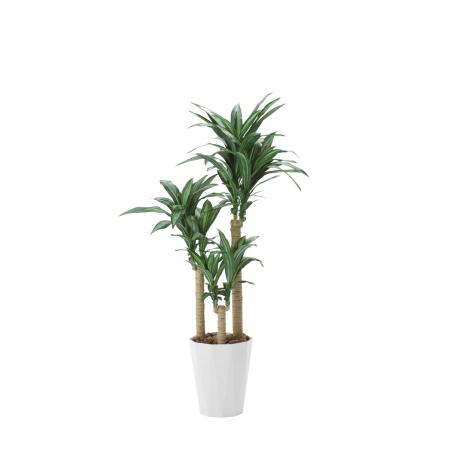 【直送】 【人工観葉植物】光の楽園/光触媒 幸福の木 1.6/400R400 ※返品・代引・キャンセル不可