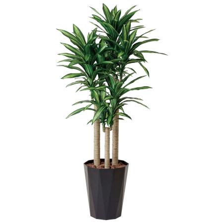 【直送】 【人工観葉植物】光の楽園/光触媒 幸福の木 1.8/401R550 ※返品・代引・キャンセル不可
