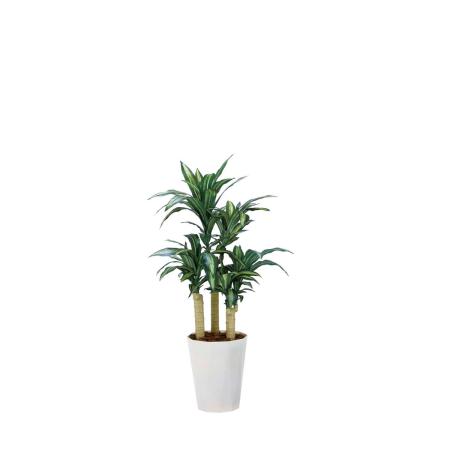 【直送】 【人工観葉植物】光の楽園/光触媒 幸福の木1.3/2316R300 ※返品・代引・キャンセル不可
