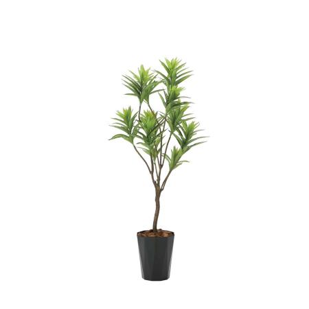 【直送】 【人工観葉植物】光の楽園/光触媒 フレッシュドラセナ1.8/2016R400 ※返品・代引・キャンセル不可