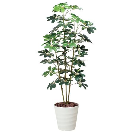【直送】 【人工観葉植物】光の楽園/光触媒 カポック斑入り1.5/355R220 ※返品・代引・キャンセル不可