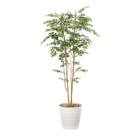 【直送】 【人工観葉植物】光の楽園/光触媒 マウンテンアッシュ1.8/900R480 ※返品・代引・キャンセル不可