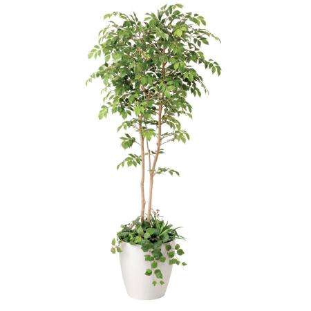 【直送】 【人工観葉植物】光の楽園/光触媒 マウンテンアッシュ1.8植栽付/408R650 ※返品・代引・キャンセル不可