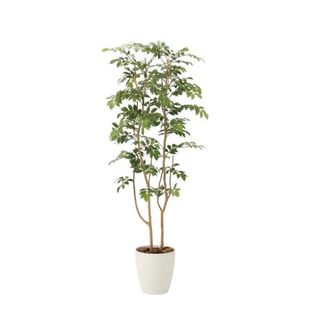 【直送】 【人工観葉植物】光の楽園/光触媒 マウンテンアッシュ1.6/2021R400 ※返品・代引・キャンセル不可