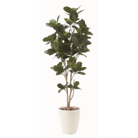 【直送】 【人工観葉植物】光の楽園/光触媒 パンの木1.25/611R250 ※返品・代引・キャンセル不可
