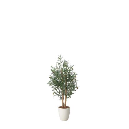 【直送】 【人工観葉植物】光の楽園/光触媒 オリーブグレイス1.2/2722A260 ※返品・代引・キャンセル不可