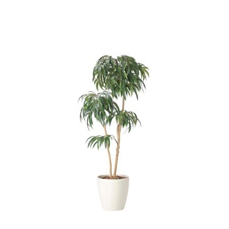 【直送】 【人工観葉植物】光の楽園/光触媒 DXショウナンゴム1.8/2417A500 ※返品・代引・キャンセル不可