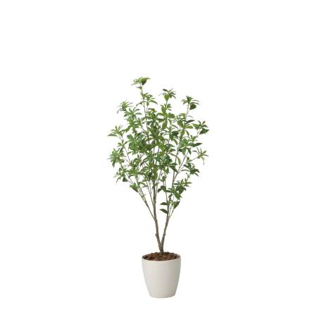 【直送】 【人工観葉植物】光の楽園/光触媒 フレッシュアセビ1.65/2627A300 ※返品・代引・キャンセル不可