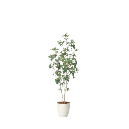 【直送】 【人工観葉植物】光の楽園/光触媒 サラサドウダン1.6/2416R300 ※返品・代引・キャンセル不可