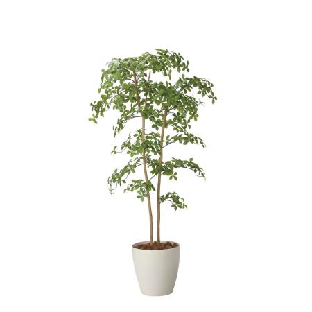 【直送】 【人工観葉植物】光の楽園/光触媒 アーモンドツリー1.8/2714A500 ※返品・代引・キャンセル不可