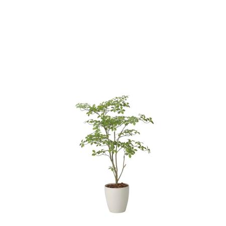 【直送】 【人工観葉植物】光の楽園/光触媒 アーモンドM1.25/2630A450 ※返品・代引・キャンセル不可