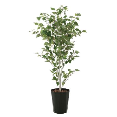 【直送】 【人工観葉植物】光の楽園/光触媒 白樺1.4/607R300 ※返品・代引・キャンセル不可