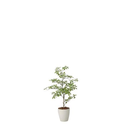 【直送】 【人工観葉植物】光の楽園/光触媒 アーモンドS1.0/2633A250 ※返品・代引・キャンセル不可
