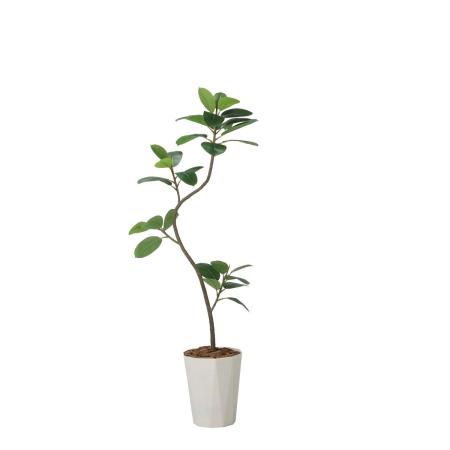 【直送】 【人工観葉植物】光の楽園/光触媒 フレッシュツイストゴムの木1.75(組立式)/2625A320 ※返品・代引・キャンセル不可