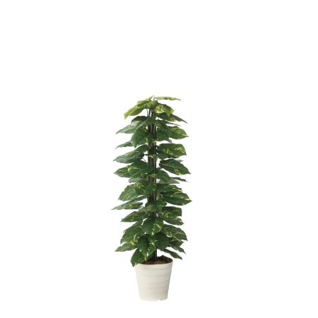 【直送】 【人工観葉植物】光の楽園/光触媒 ジャイアントポトス1.5/2719A280 ※返品・代引・キャンセル不可