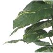 【直送】 【人工観葉植物】光の楽園/光触媒 ジャイアントポトス1.5/2719A280 ※返品・代引・キャンセル不可