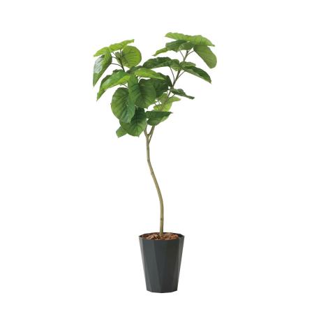 【直送】 【人工観葉植物】光の楽園/光触媒 フレッシュデザインウンベラータ1.8/2258R420 ※返品・代引・キャンセル不可