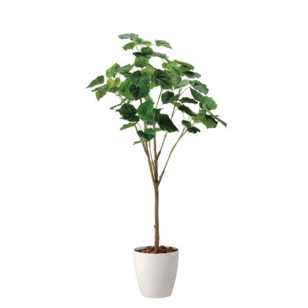 【直送】 【人工観葉植物】光の楽園/光触媒 フィカスウンベラ—タ1.7/2117R450 ※返品・代引・キャンセル不可