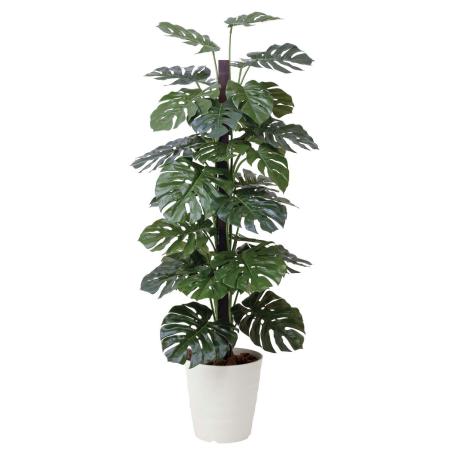 【直送】 【人工観葉植物】光の楽園/光触媒 モンステラ  1.8/403R480 ※返品・代引・キャンセル不可