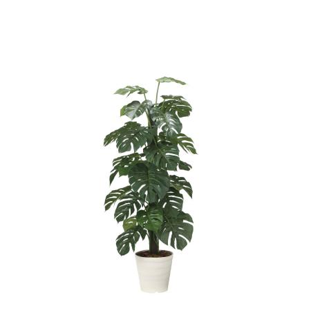 【直送】 【人工観葉植物】光の楽園/光触媒 モンステラ  1.6/2720A430 ※返品・代引・キャンセル不可