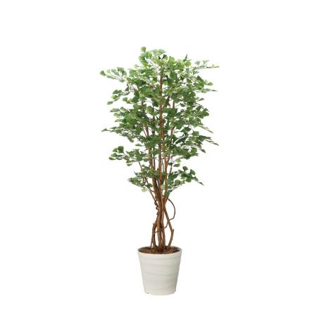 【直送】 【人工観葉植物】光の楽園/光触媒 イチョウの木1.8/2711A350 ※返品・代引・キャンセル不可
