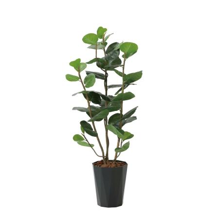 【直送】 【人工観葉植物】光の楽園/光触媒 シ—グレ—プDX1.25/2243R250 ※返品・代引・キャンセル不可