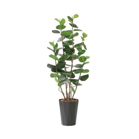 【直送】 【人工観葉植物】光の楽園/光触媒 シ—グレ—プDX1.7/2244R350 ※返品・代引・キャンセル不可