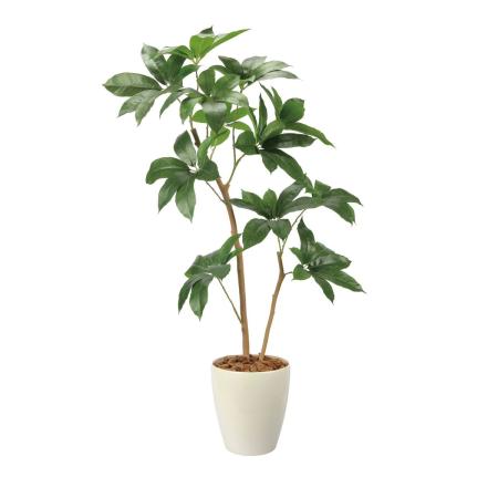 【直送】 【人工観葉植物】光の楽園/光触媒 ツピタンサス1.2/2734A220 ※返品・代引・キャンセル不可