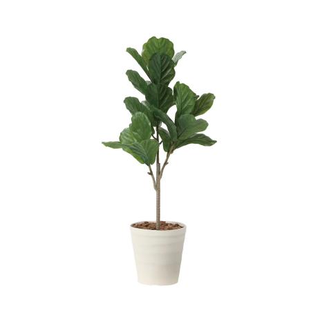 【直送】 【人工観葉植物】光の楽園/光触媒 カシワバゴム90(ポリ製)/2724A100 ※返品・代引・キャンセル不可