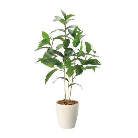 【直送】 【人工観葉植物】光の楽園/光触媒 ローレル90/2732A125 ※返品・代引・キャンセル不可