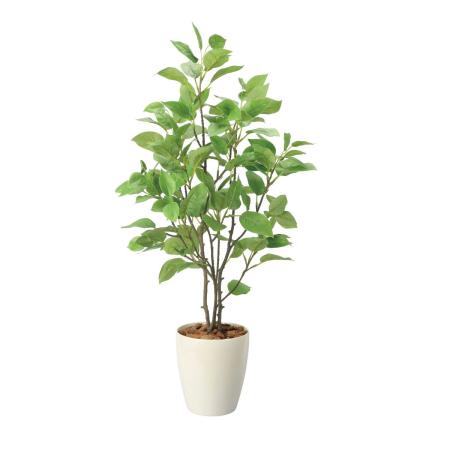 【直送】 【人工観葉植物】光の楽園/光触媒 チェリー90/2733A125 ※返品・代引・キャンセル不可