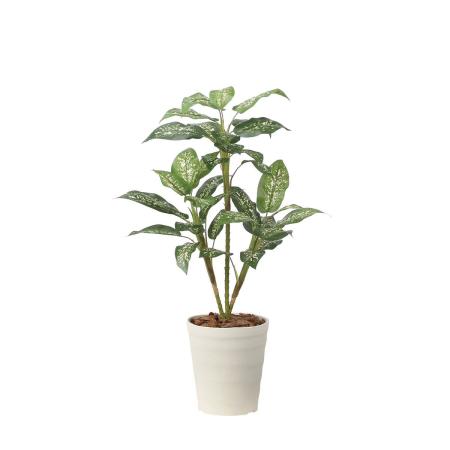 【直送】 【人工観葉植物】光の楽園/光触媒 ディフェンバキア90/2491R80 ※返品・代引・キャンセル不可