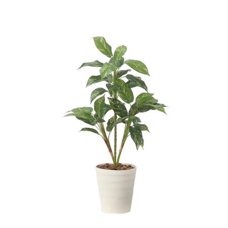 【直送】 【人工観葉植物】光の楽園/光触媒 フィロ90/2490R80 ※返品・代引・キャンセル不可