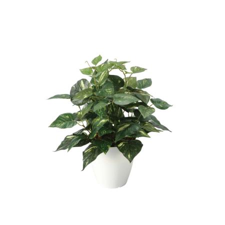 【直送】 【人工観葉植物】光の楽園/光触媒 ポトスM/2705A50 ※返品・代引・キャンセル不可