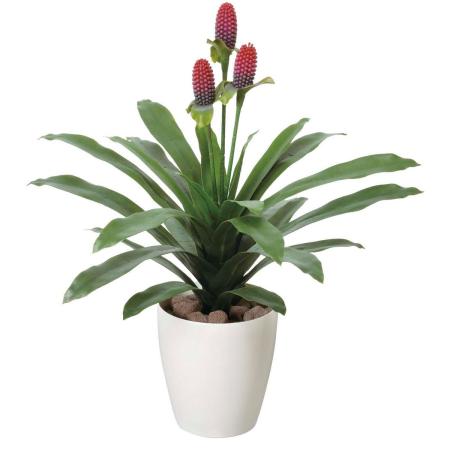 【直送】 【人工観葉植物】光の楽園/光触媒 マガベ花付(ポリ製)/223R70 ※返品・代引・キャンセル不可