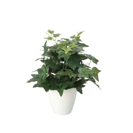 【直送】 【人工観葉植物】光の楽園/光触媒 アイビ—M/2704A50 ※返品・代引・キャンセル不可
