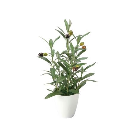 【直送】 【人工観葉植物】光の楽園/光触媒 オリーブS/2706A40 ※返品・代引・キャンセル不可