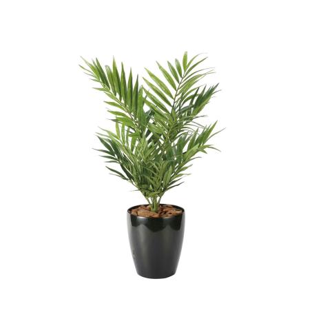 【直送】 【人工観葉植物】光の楽園/光触媒 パーラーパーム/2621A85 ※返品・代引・キャンセル不可