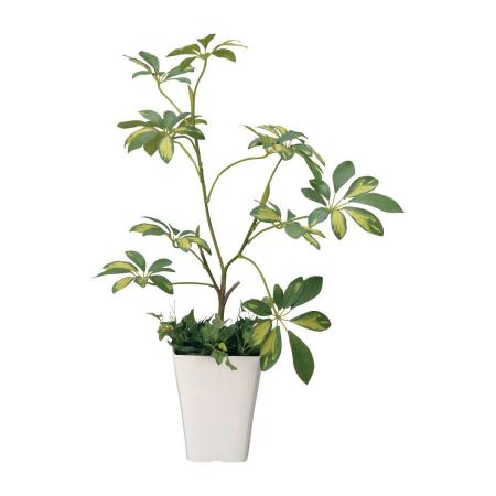 【直送】 【人工観葉植物】光の楽園/光触媒 シェフレラ/212R70 ※返品・代引・キャンセル不可