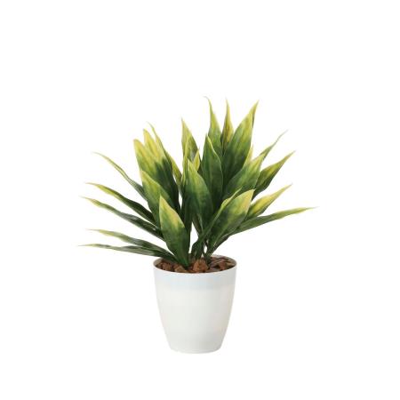 【直送】 【人工観葉植物】光の楽園/光触媒 ドラセナ(ポリ製)/2267R35 ※返品・代引・キャンセル不可
