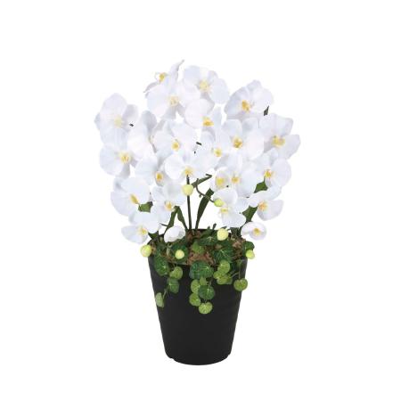 【直送】 【造花】光の楽園/光触媒 プリンセス胡蝶蘭W/2266R70 ※返品・代引・キャンセル不可