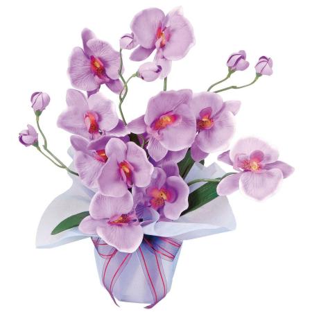 【直送】 【造花】光の楽園/光触媒 ホットファレノ/68R30 ※返品・代引・キャンセル不可