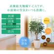 【直送】 【造花】光の楽園/光触媒 ルージュロワイヤル1.05/2677A360 ※返品・代引・キャンセル不可
